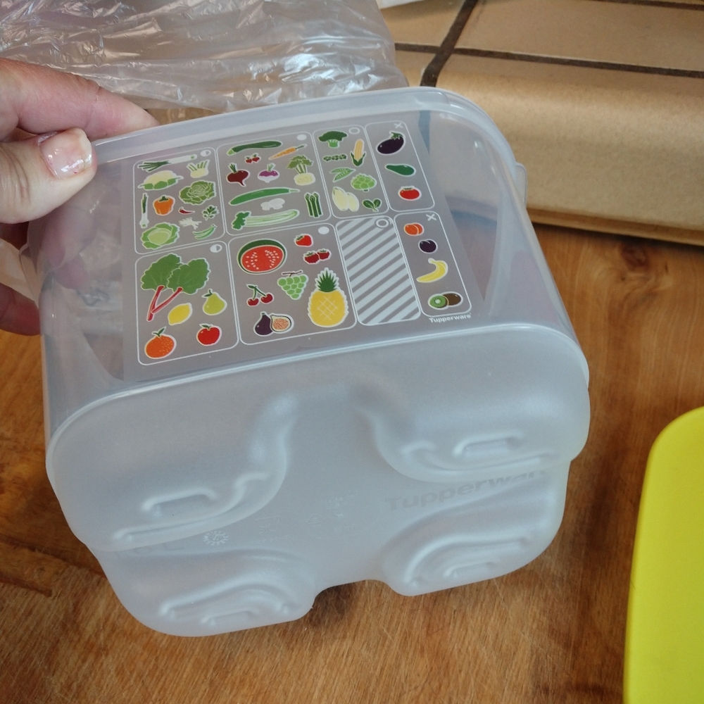 NWT tupperware fridge smart small deep